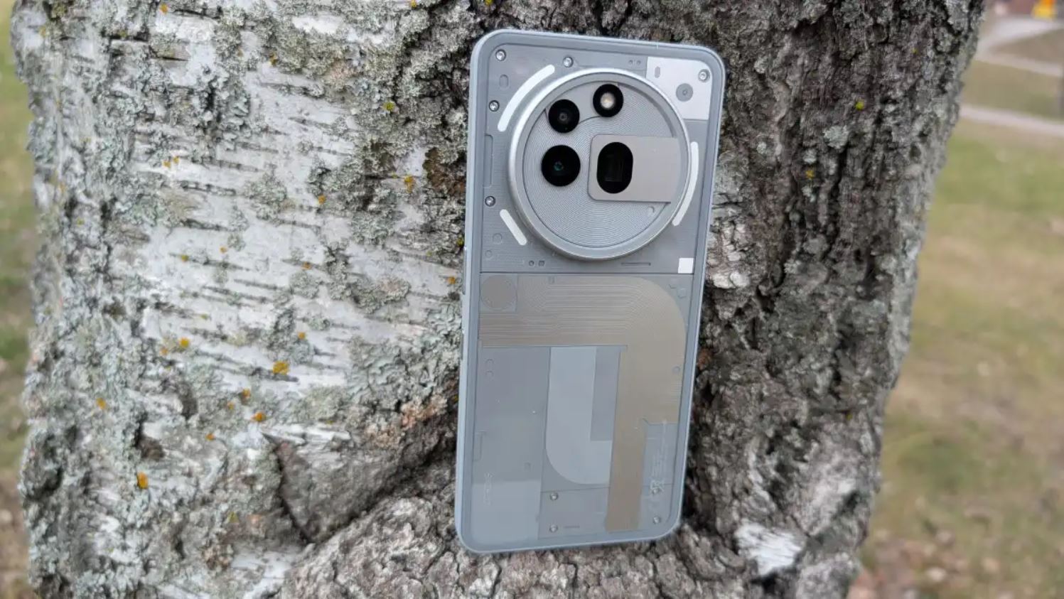 Nothing Phone (3) prototype with transparent back and circular triple camera setup placed against a tree trunk.